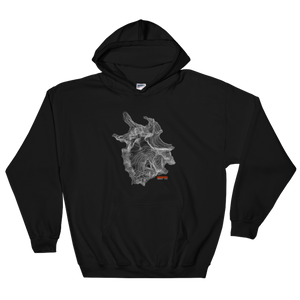 Mount Shuksan Hoodie