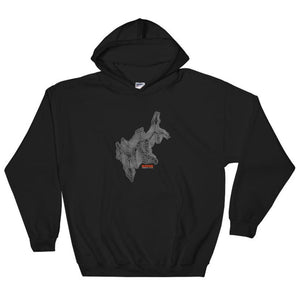 Mica Peak Hoodie