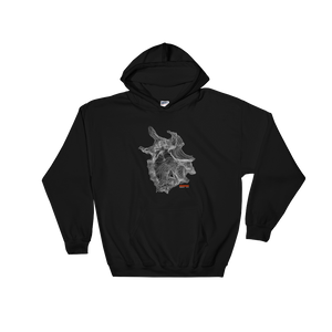 Mount Shuksan Hoodie