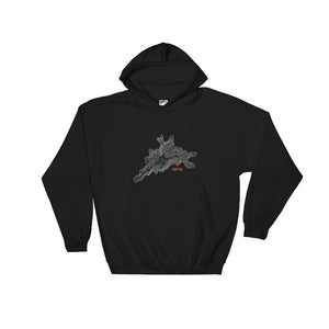 Mount Lemmon Hoodie