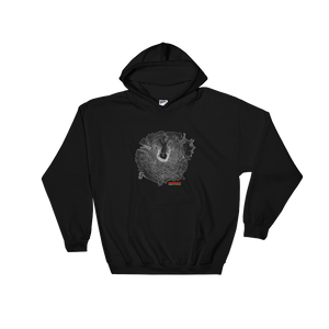 Mount Saint Helens Hoodie